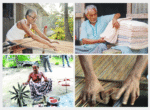 কুমিল্লার বিখ্যাত খাদি ও শাল কম্বো প্যাকেজ - Image 3